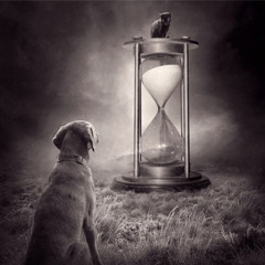 20251211 Life gose on