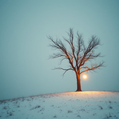 While I’m Still Standing