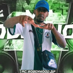 ACAPELLA - É Vapo Vapo Ploc Ploc TikTok na Xereca ( MC Robenwood SP )