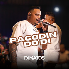 Você Me Encantou Demais/ Quero Ser Feliz Também/ Natiruts Reggae Power