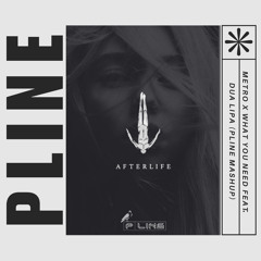Metro X What You Need X One Kiss (PLine Mashup)
