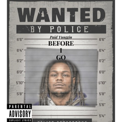 Before I Go