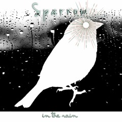 Sparrow In The Rain
