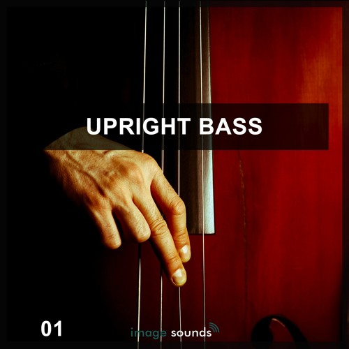 Stream Upright Bass by Steinberg | Listen online for free on SoundCloud