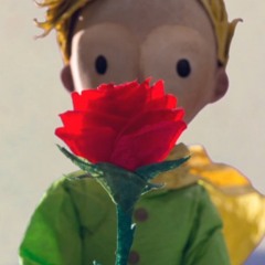 玫瑰少年