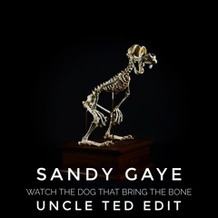 Sandy Gaye - Watch the Dog That Bring the Bone (Uncle Ted Edit)
