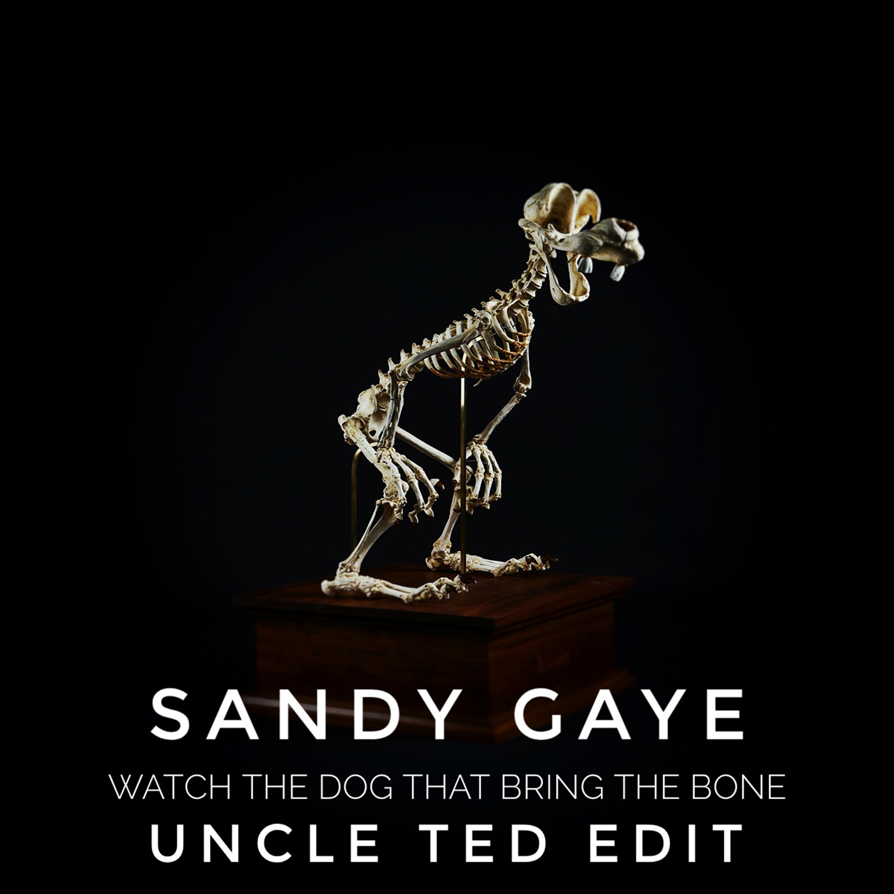 Sandy Gaye - Watch the Dog That Bring the Bone (Uncle Ted Edit) episode artwork