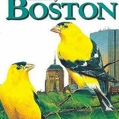 GET PDF EBOOK EPUB KINDLE Birds of Boston (City Bird Guides) by  Chris Fisher &  Andy