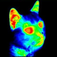 ＲΛＮＤ♢Ｍ stuff