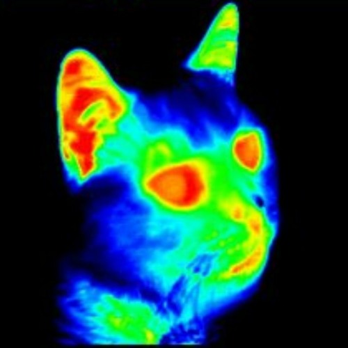 ＲΛＮＤ♢Ｍ stuff