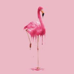 The Flamingo Prophecy