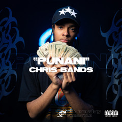 Punani