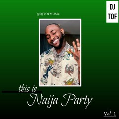 Naija Party. Vol 1