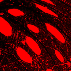 Homemix November 2024 Peak Time Set