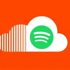 Spotify 2025 Wrapped (gerildik)