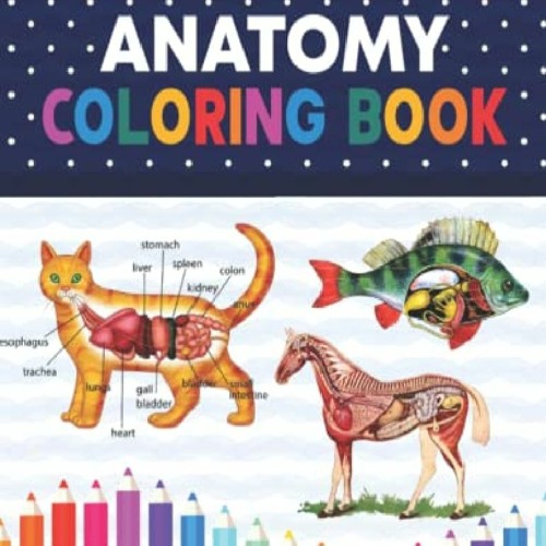 Stream episode Full PDF Veterinary Anatomy Coloring Book: Dog Cat Horse