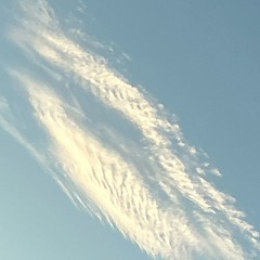 #RENAULT(IMPOSSIBLE)_IVVYS1_HISTARKEY