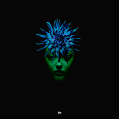 High Minds - Divergentia