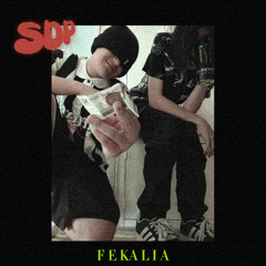 Fekalia