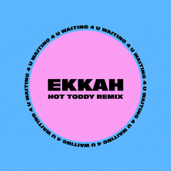 Waiting 4 You (Hot Toddy Remix)