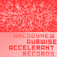 Ancodynew - DUBWISE