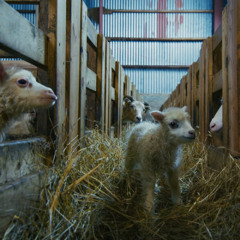 GET OUT OF THE WAY (ALL MY LIFE)