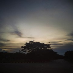 Fake Plastic Trees - Radiohead (Cover)