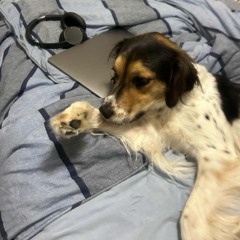 isaiah rashad prod bullseye