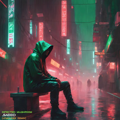 Infected Mushroom - Saeed (Atmologix DnB Remix)