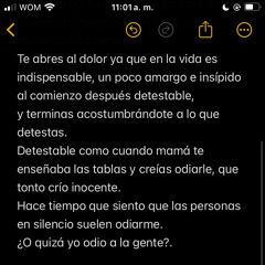 DOLOR - LIL WARRIOR