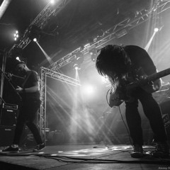 Introduction to Echoes and Signals