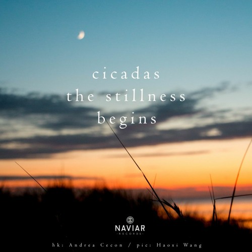 The Stillness Begins (Naviarhaiku400)