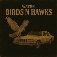 Water - Birds n Hawks prod. Geogotbands x 29thegod