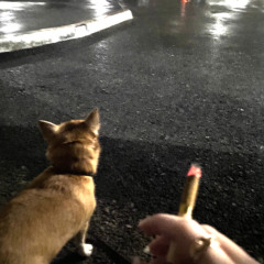 Sodium \\speed up + reverb\\