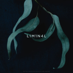 L1M1N4L #02