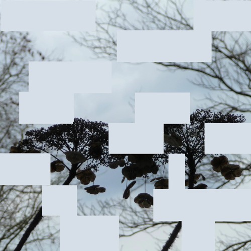Winter, slow and even-tempered, embracing Spaces (Disquiet0586)