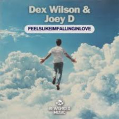 Dex Wilson & Joey D - Feelslikeimfallinginlove (Extended) Master