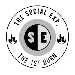 TSE Token Burn Event_ Market Analysis and Insights