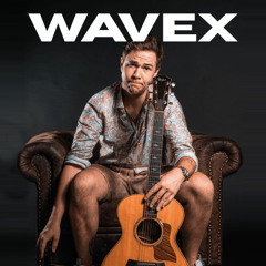 Busheislparty (WAVEX Remix)