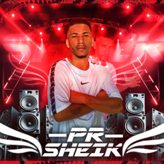ENCOSTA NA PAREDE - REMIX - MC DANNY & MC PEDRINHO  - DJ PR SHEIK