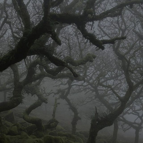 No Apologies [Prod.Flawless]