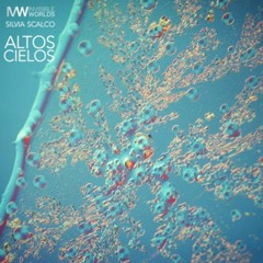 Altos Cielos (Icaro SHAMANCUYNI) featuring in_visible_worlds