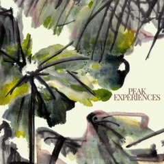 Peak Experiences - mix