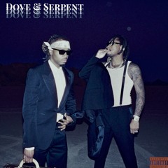 Metro Boomin x Future - Type Shit (Dove & Serpent Edit)