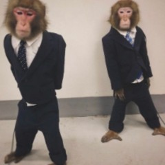 august 24 samples ++ prod turro