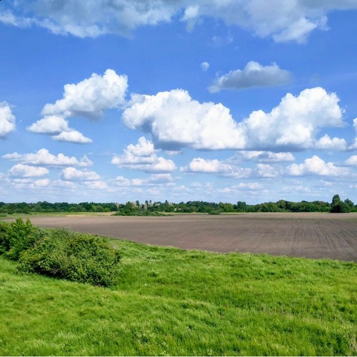 UFN - from Ukrainian Field Notes Volume II