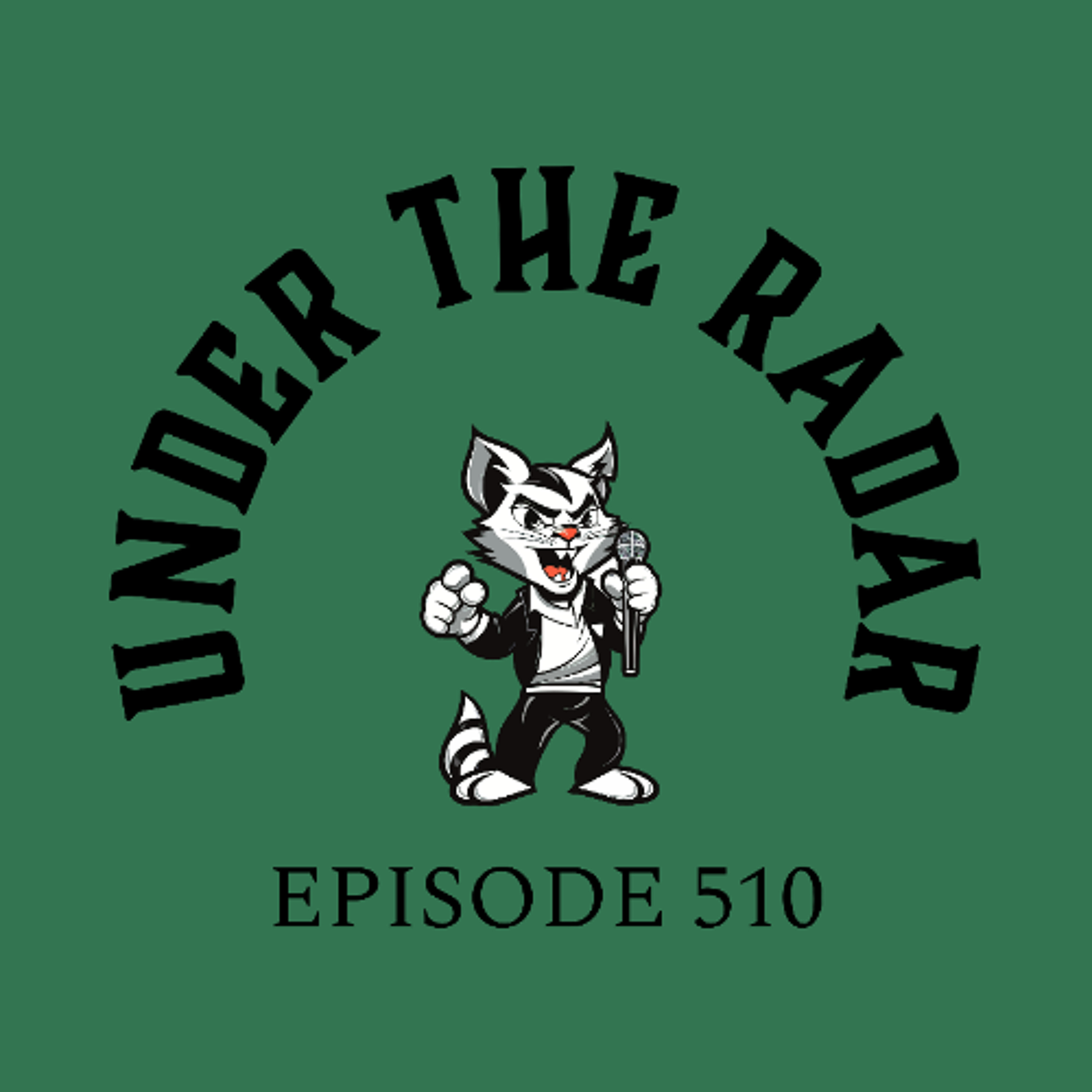 Under the Radar Ep.510 Pt.5 The Wild World of Stunts