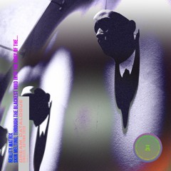 Reality Matrix - Skin Melting, Through The Blackest Void Into The Body Of The Electronic Beast