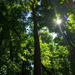 A CAMPFIRE STORY - MARAYUHO (DEMO)