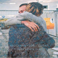 brockhampton - sugar remix (flip)
